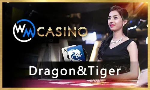 Live Casino Games at www.80jili casino